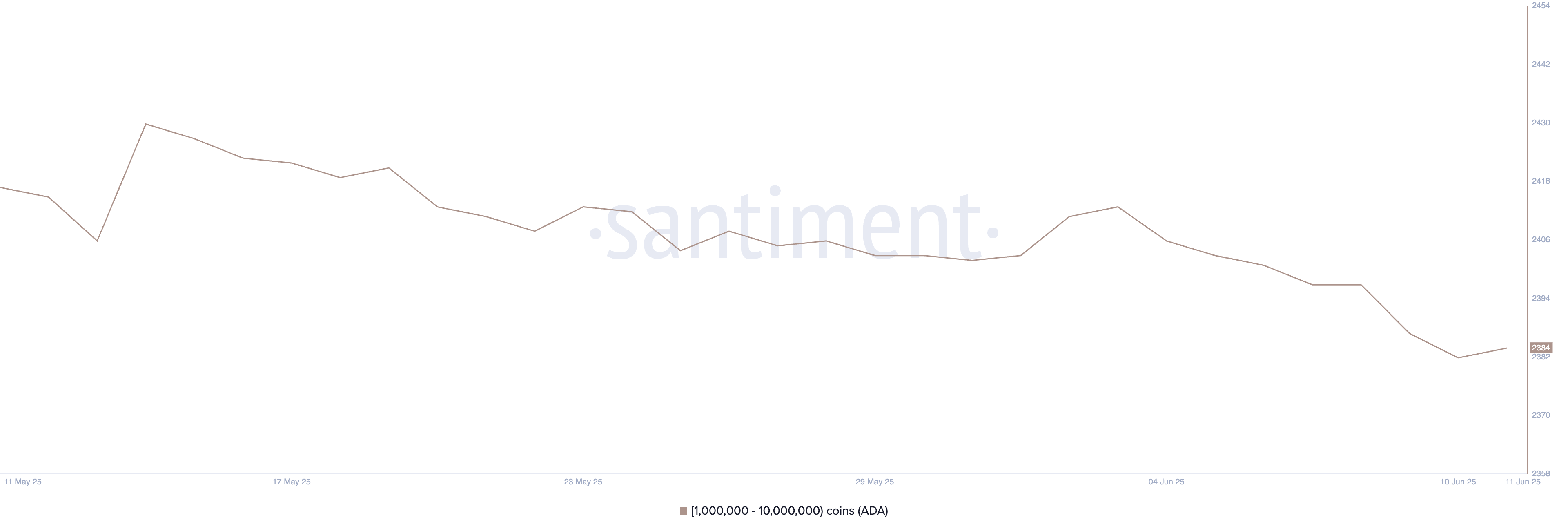 Addresses Holding Between 1 Million and 10 Million ADA.