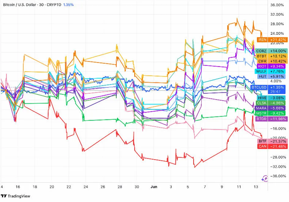 The Difference in Stock Performance of Bitcoin Mining Companies. Source: TheMinerMag report