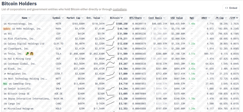 Bitcoin holders by portfolio size