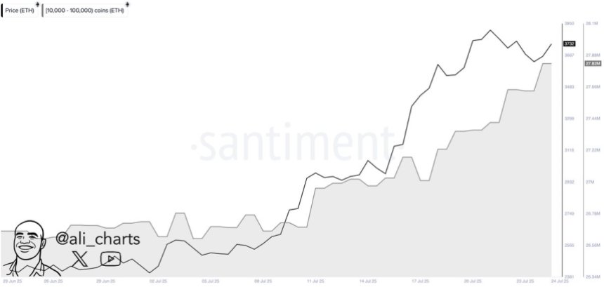 Ethereum whale accumulation | Source: Ali Martinez on X