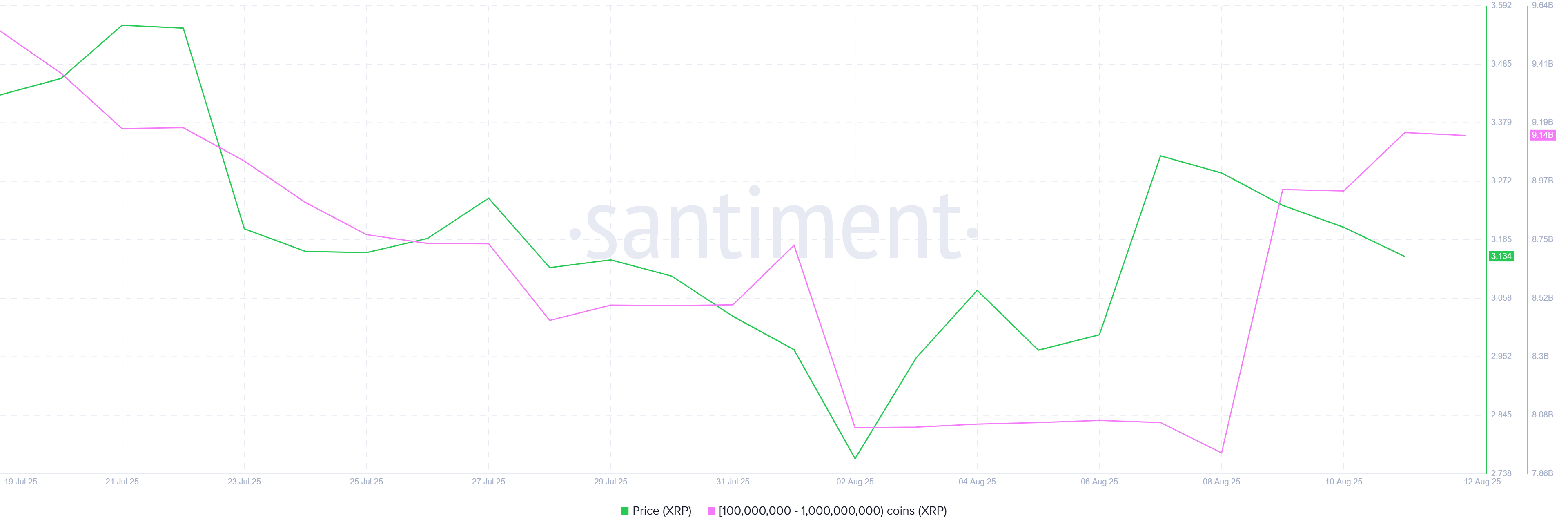 XRP Whale Holdings