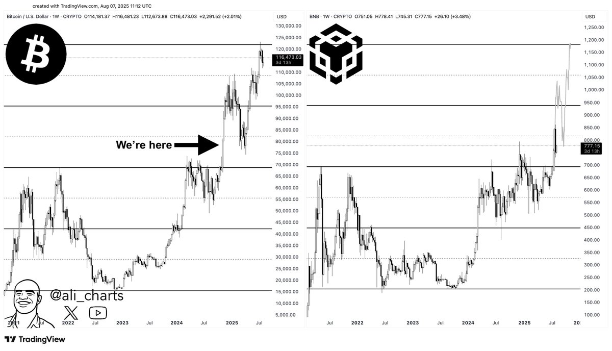 BNB price prediction. Source: Ali