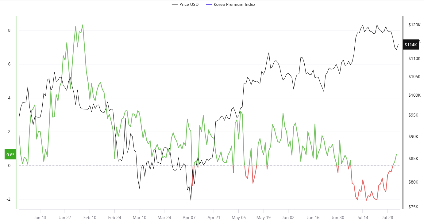 Korean Kimchi Premium