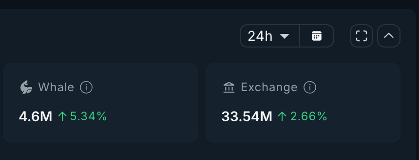 MORPHO Whales In Action