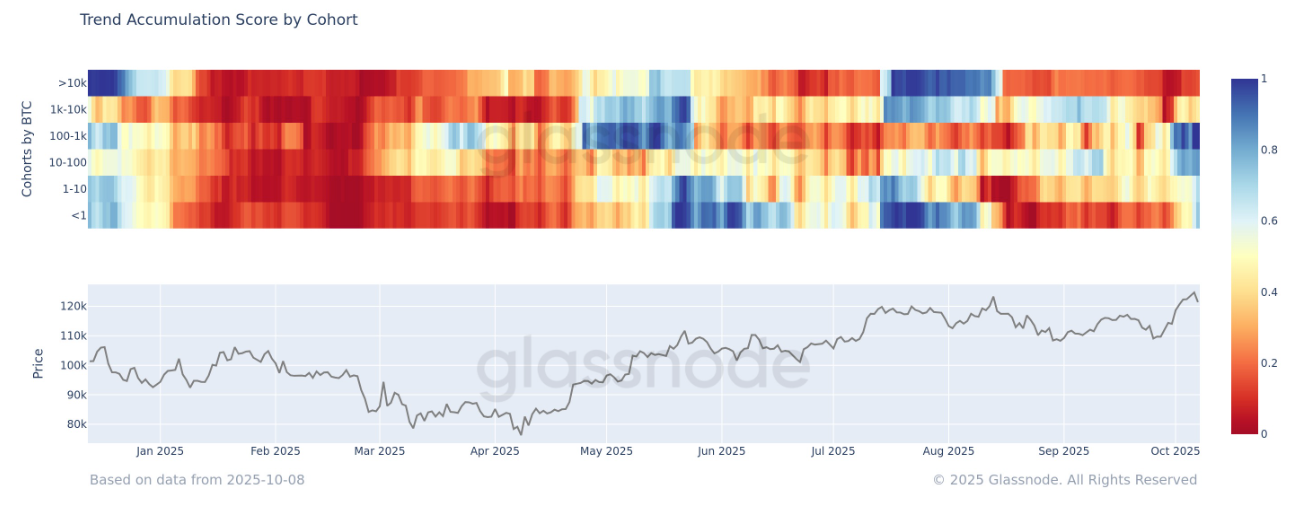Trend Accumulation Score chart