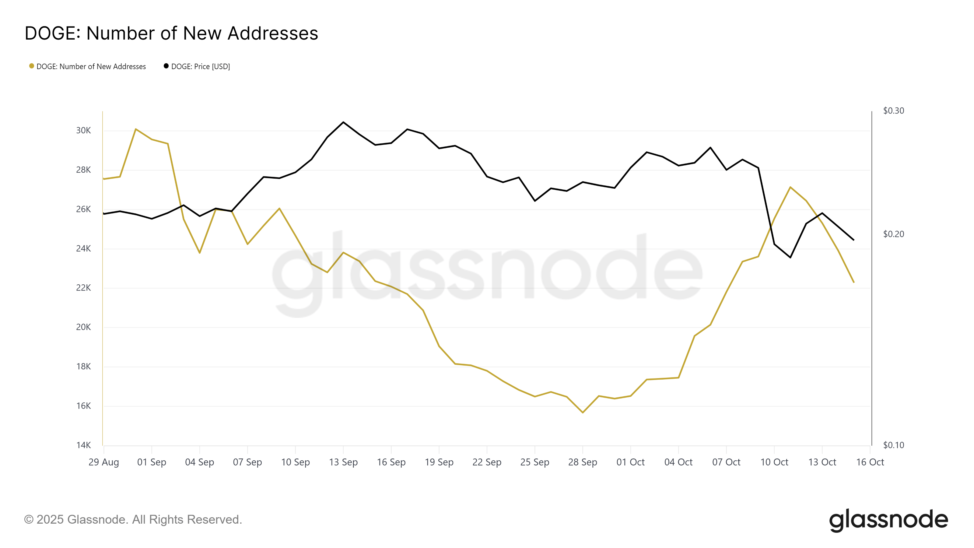 Dogecoin New Addresses