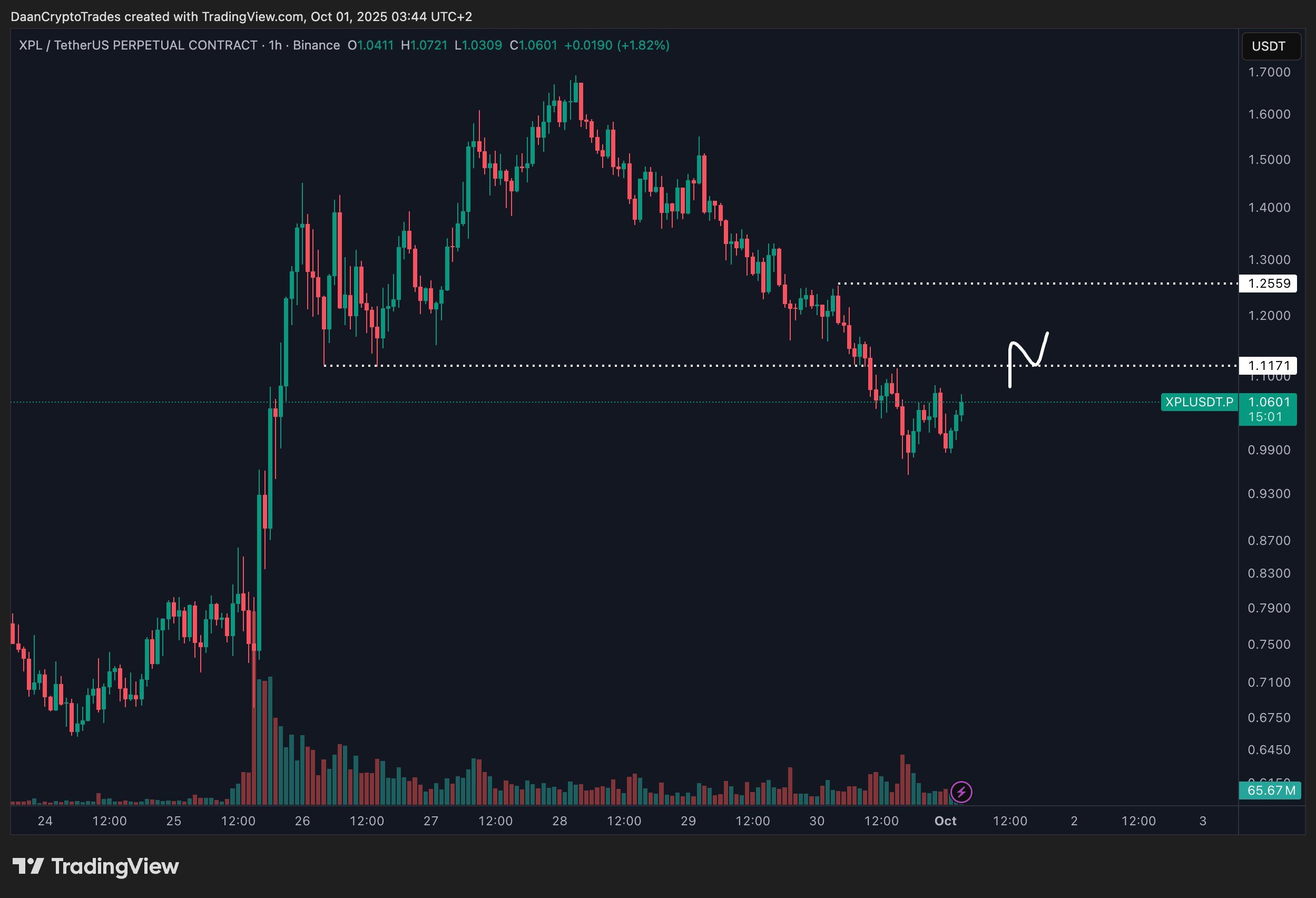 XPL 1H chart. Source: Daan