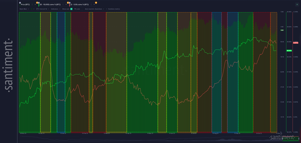 Bitcoin Whales vs Micro Wallets