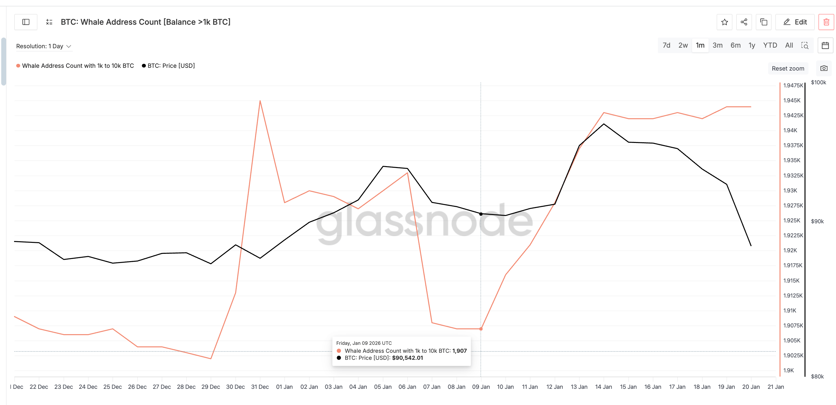 Whales Supporting Price