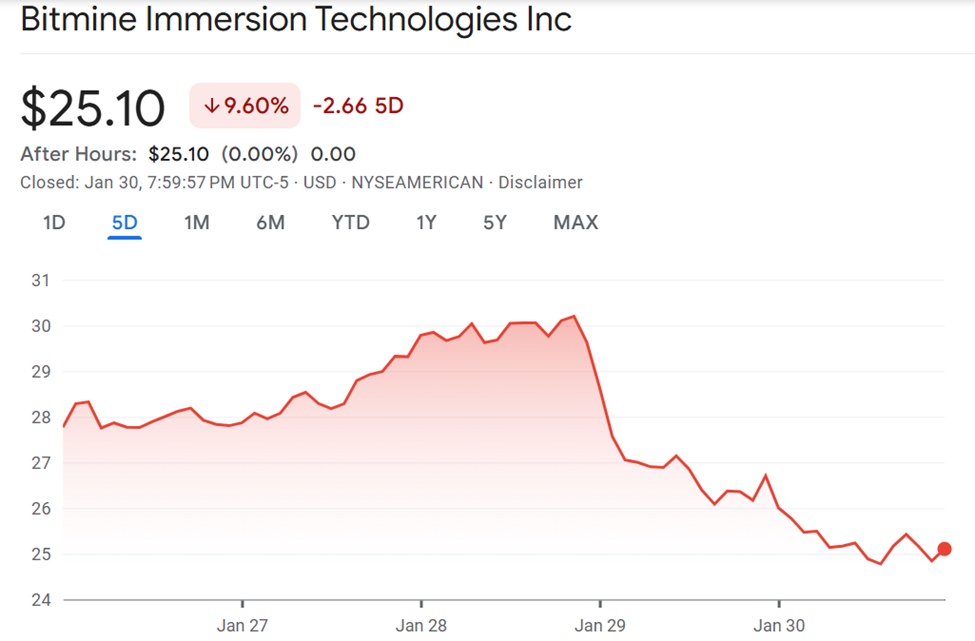 BitMine (BMNR) Stock Performance