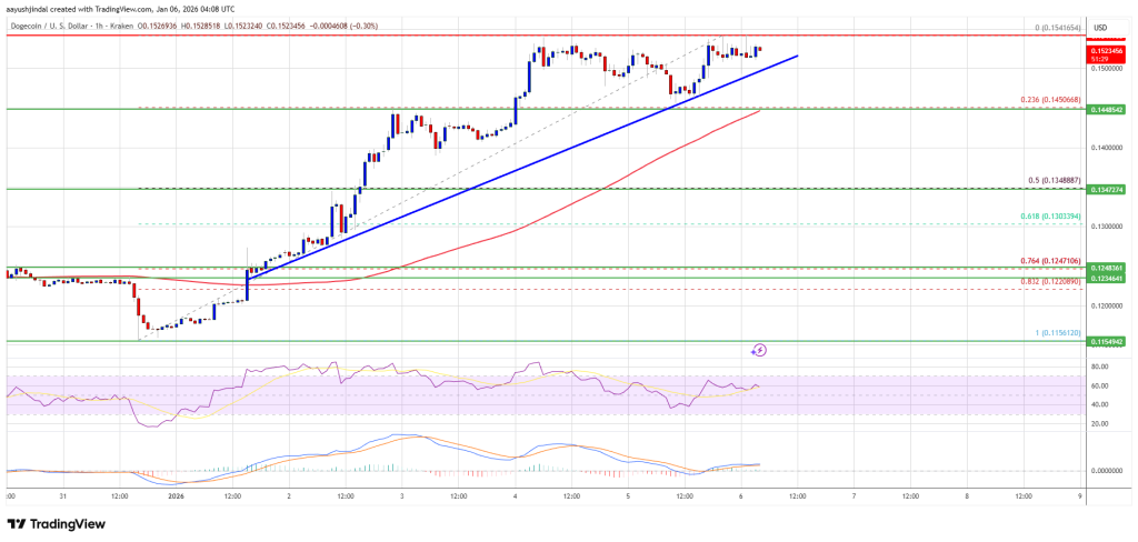 Dogecoin Price