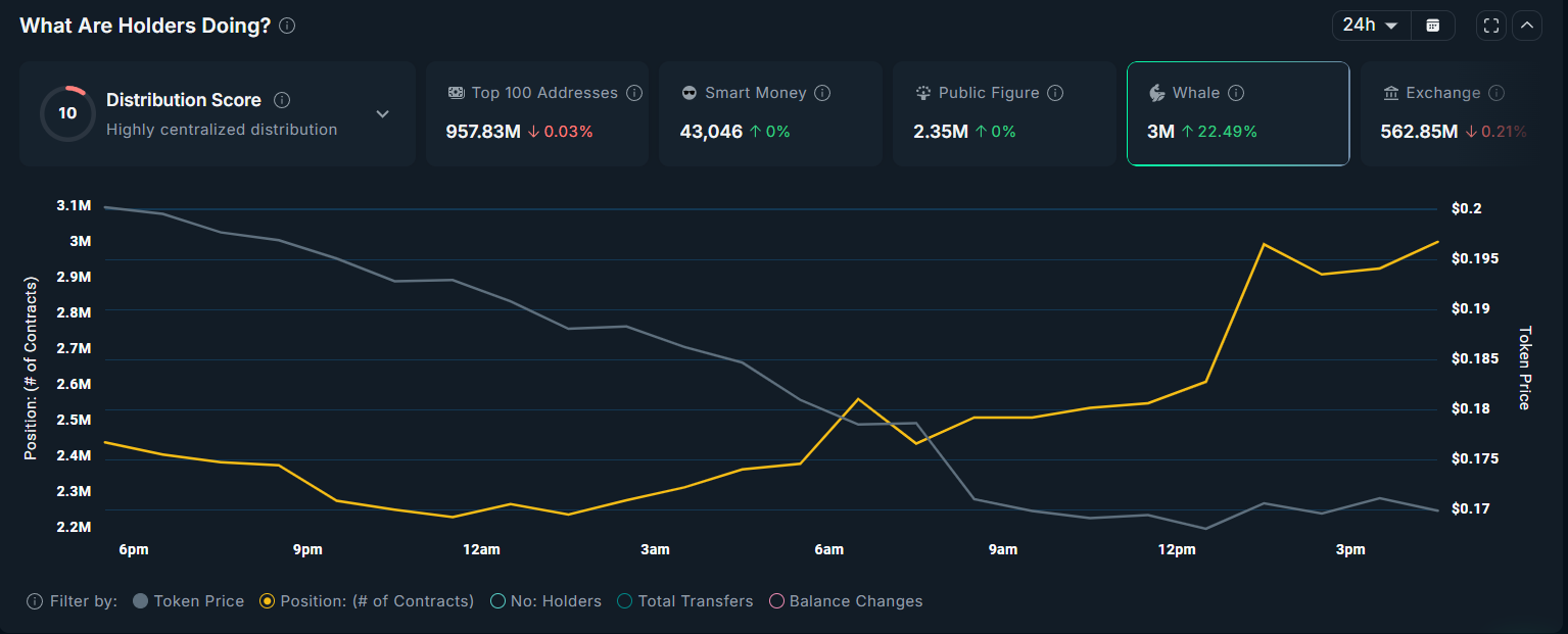 MET Whales Accumulating