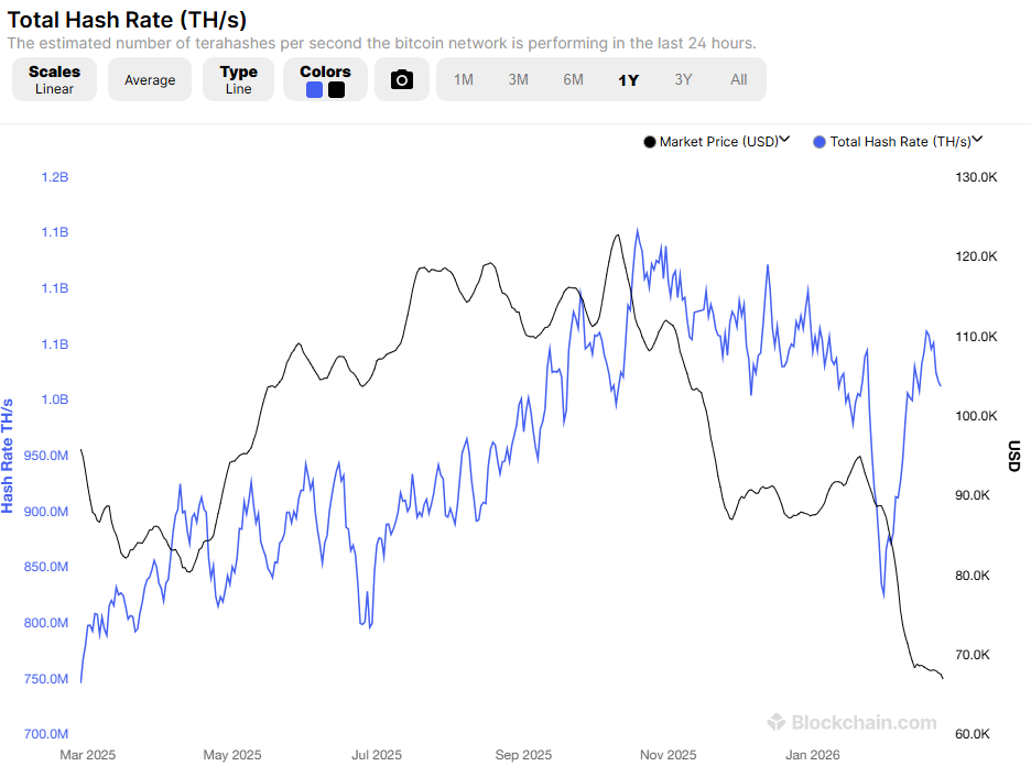 Bitcoin Hashrate. Source: Blockchain.com