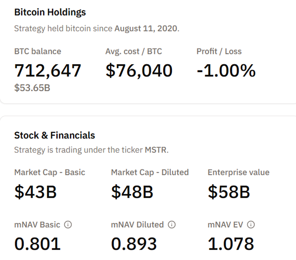 Strategy BTC Holdings