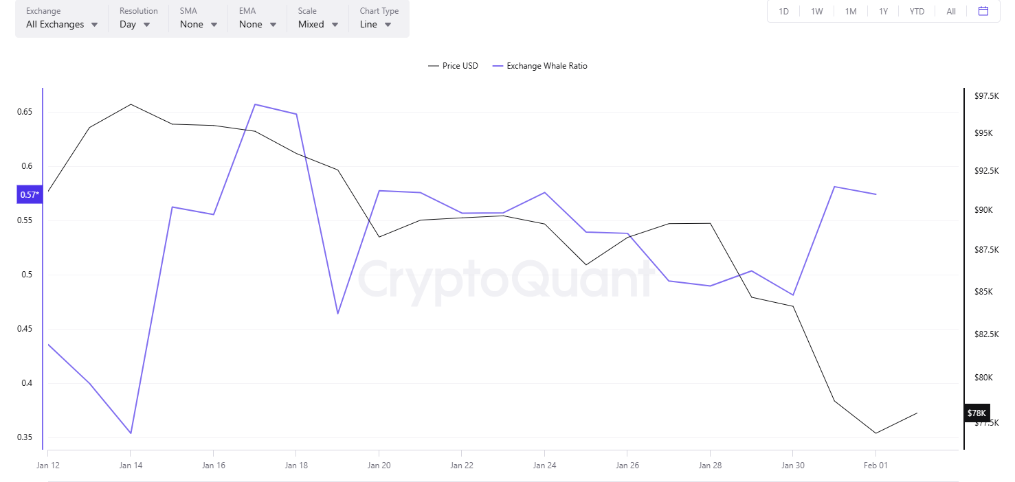 Whales Buy BTC As Bitcoin Price Drops