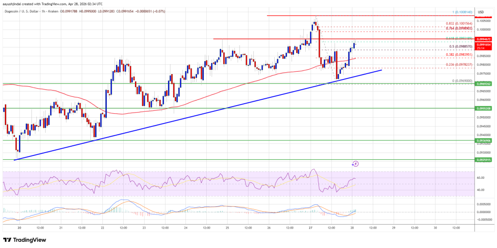 Dogecoin Price