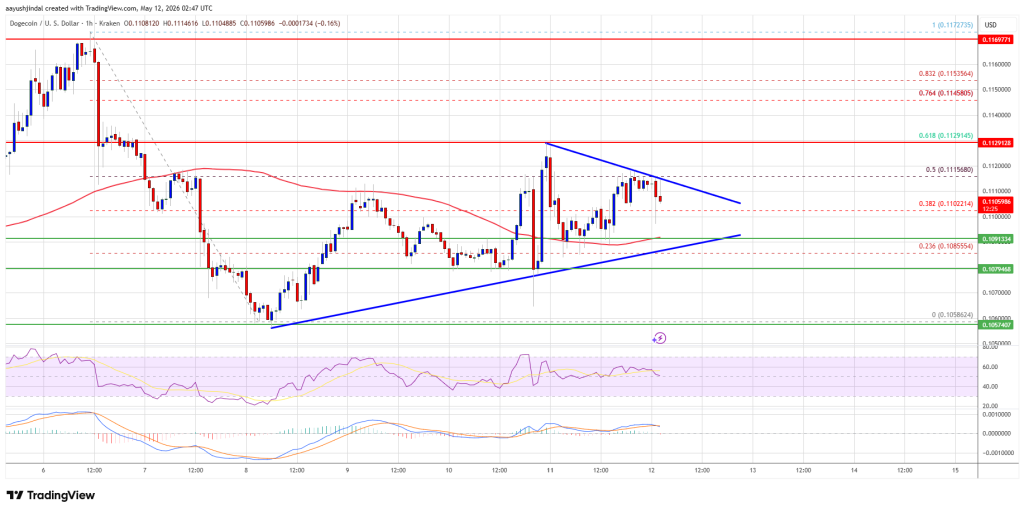 Dogecoin Price
