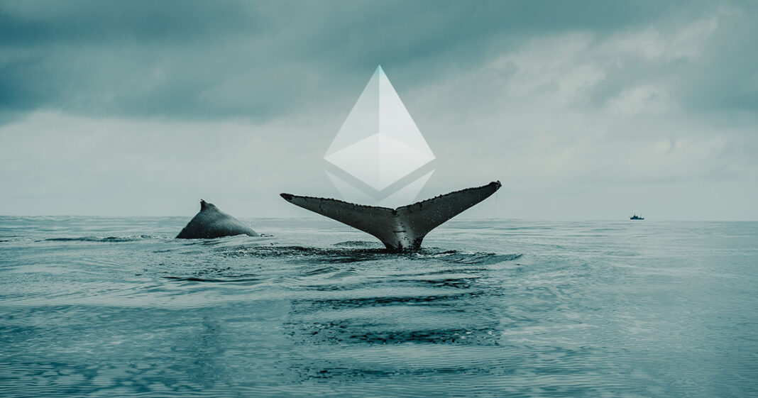 Ethereum-whales.jpeg