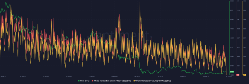 Bitcoin whales  Bitcoin whale transaction count | Source: Santiment