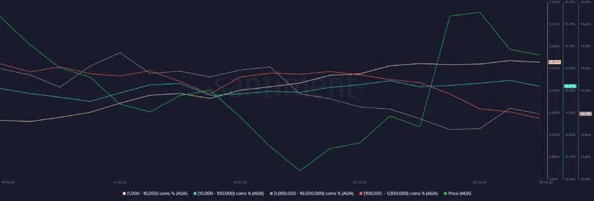 Cardano whales