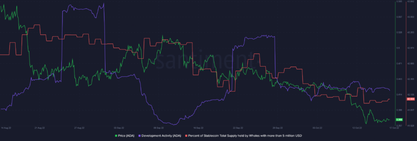 Percentage of stablecoins held by whales