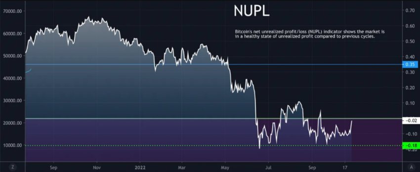 Bitcoin NUPL | Source: CryptoQuant