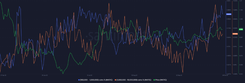 MATIC supply distribution by balance of addresses | Source: Santiment