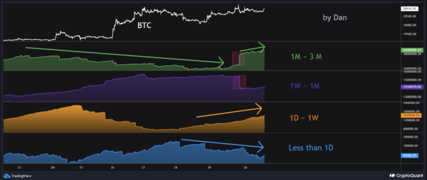 Age Bands | Source: CryptoQuant