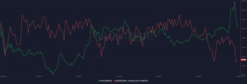 Polygon (MATIC) Supply Distribution by balance of addresses | Source: Santiment