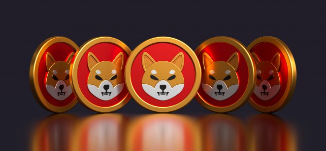 Shiba-Inu.jpeg