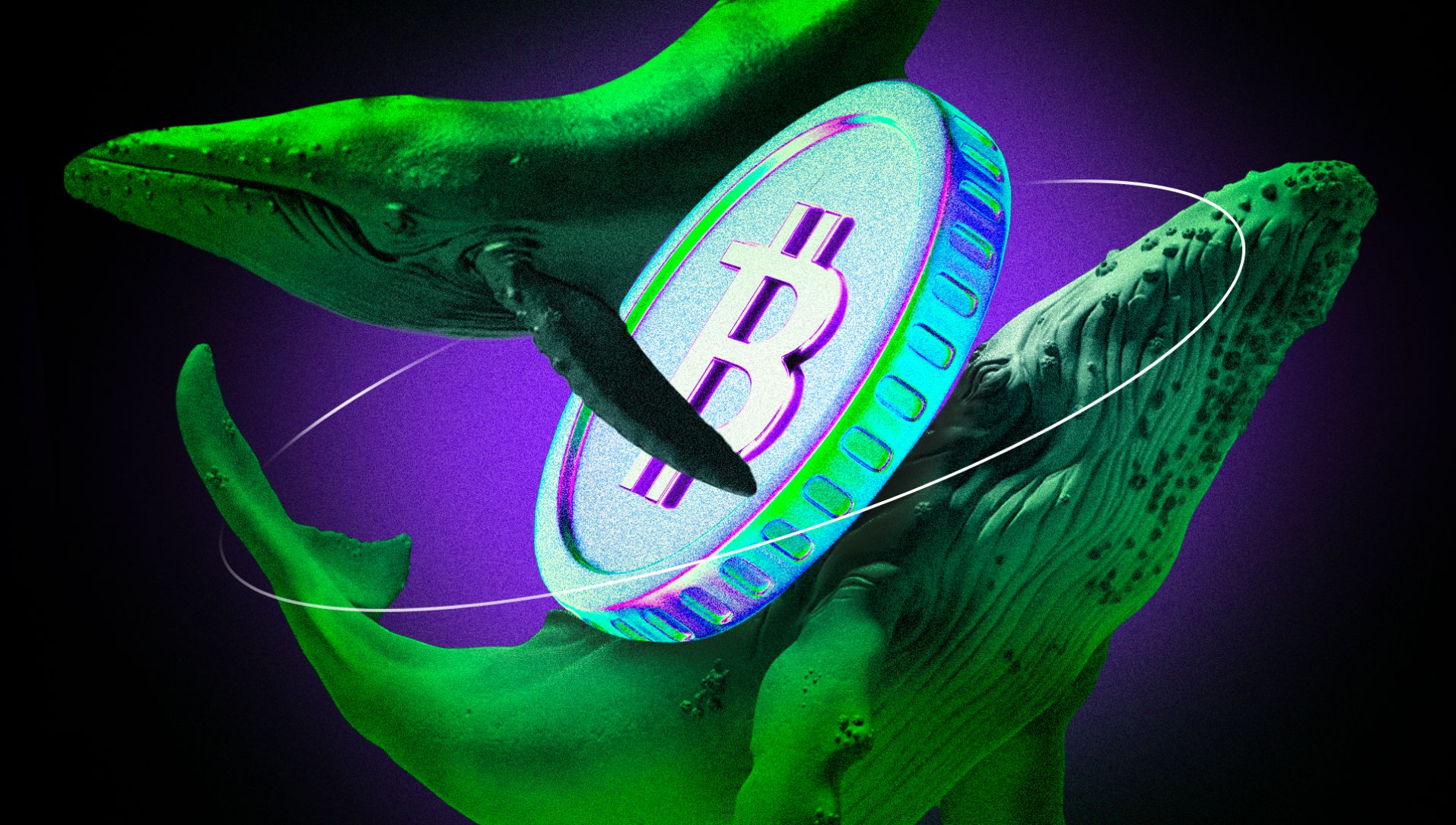 bic_crypto_whales_bitcoin_2-covers_coins_bitcoin_neutral.jpg.jpg.optimal.jpg