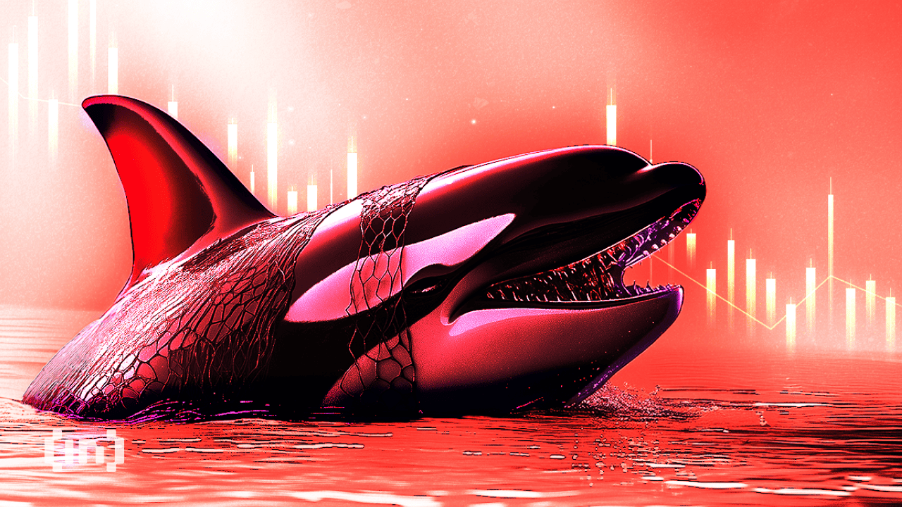 bic_ORCA-covers_bearish.png