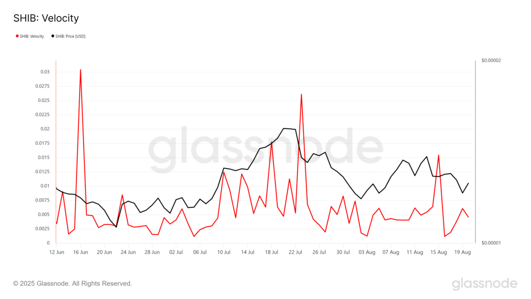 glassnode-studio_shib-velocity.png