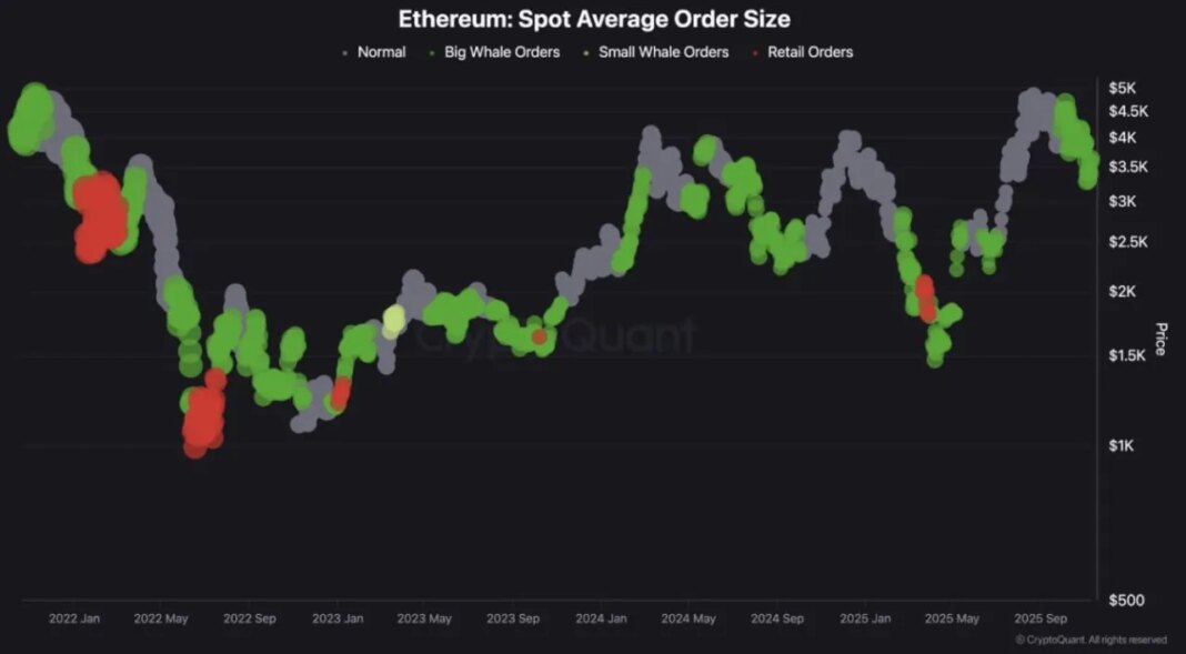 1762874234_Ethereum-chart-from-Prime.jpeg