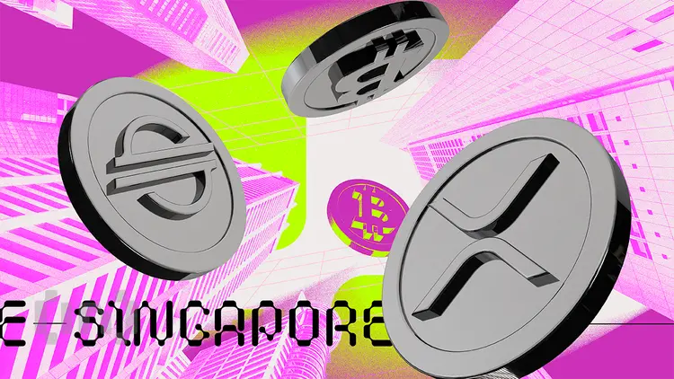 1f480d48213d49f297cb327134ac2e23.webp