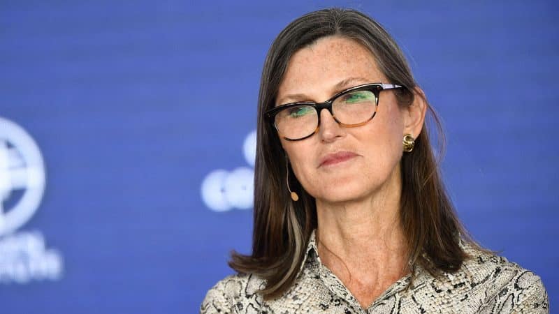 CATHIE-WOOD-GETTY-800x450.jpg