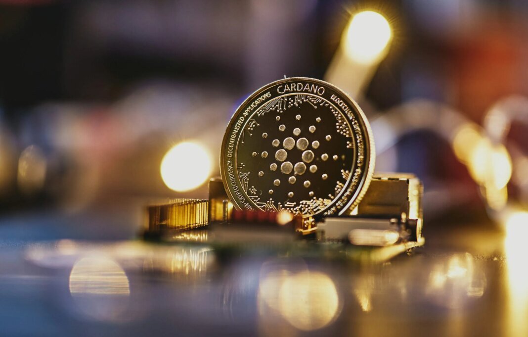 Cardano-from-Unsplash-2.jpeg
